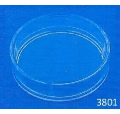 SCATOLINO IN PLASTICA ref. 3801